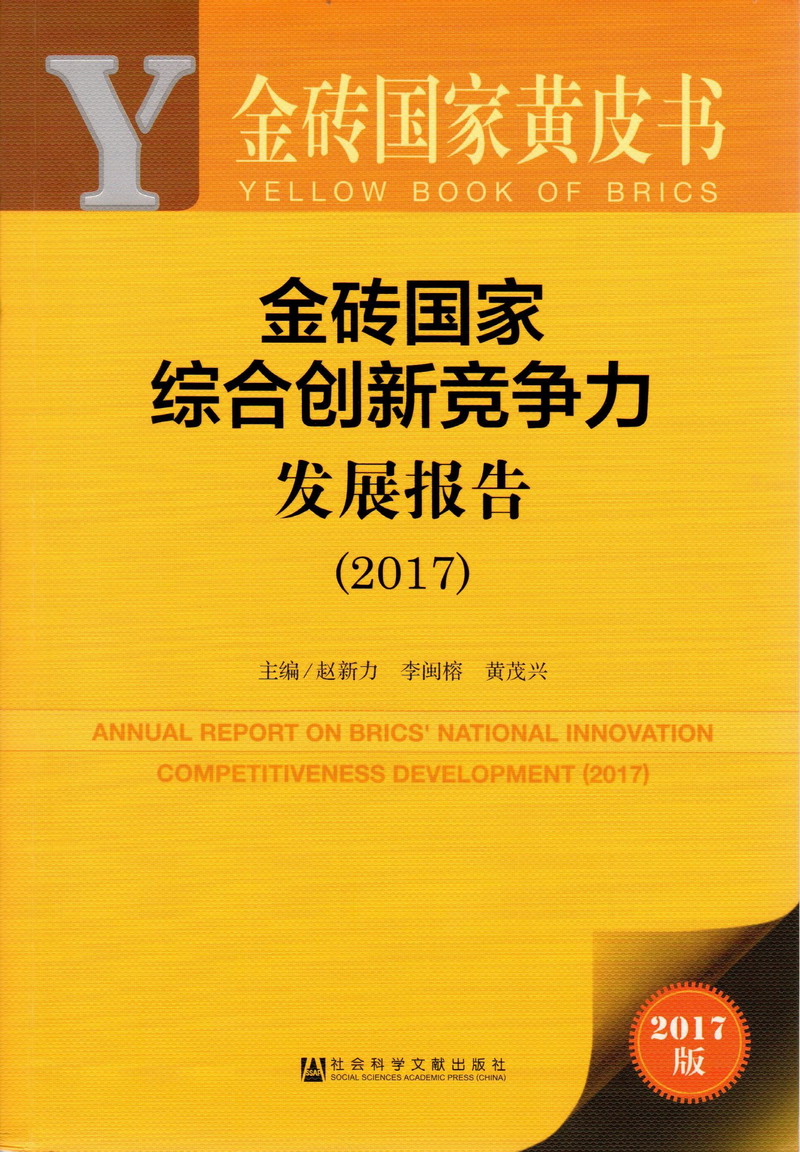 啊啊啊操的好爽金砖国家综合创新竞争力发展报告（2017）